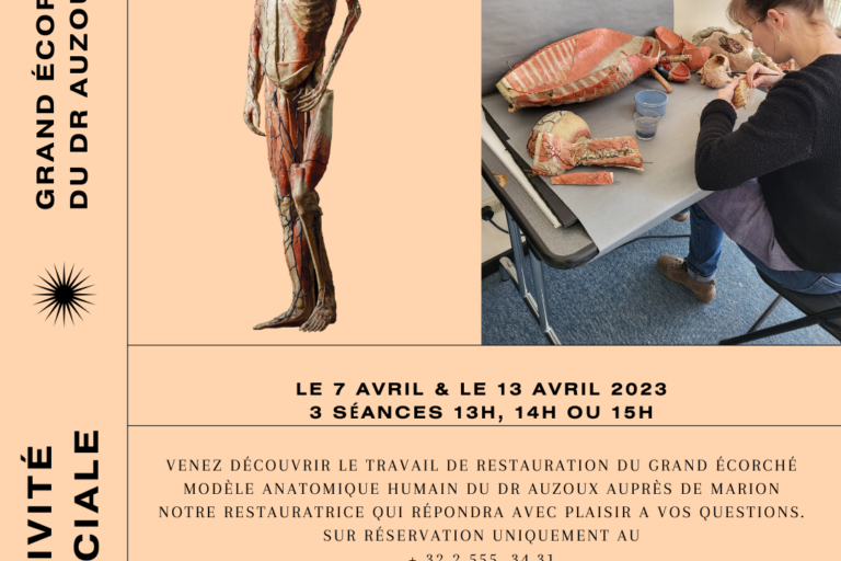 le 7 avril & le 13 avril 2023