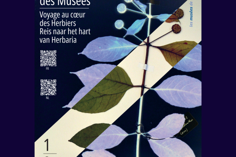 Design sans titre (2)