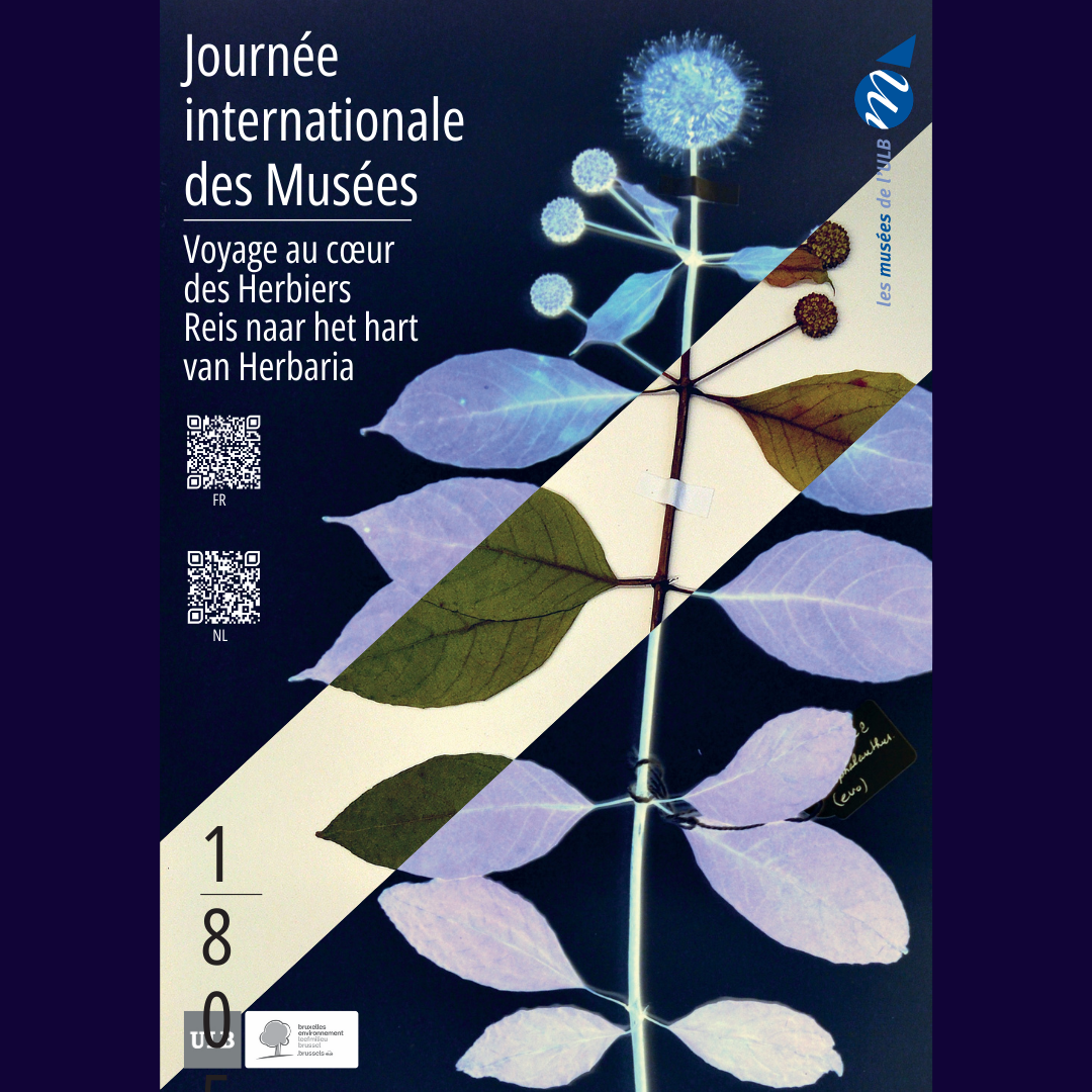 Design sans titre (2)