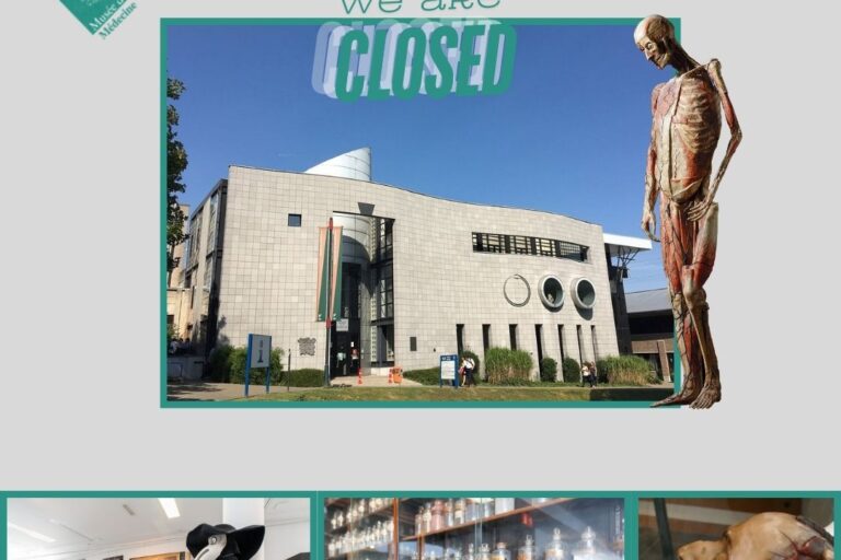 Pour raison exceptionnelle, le Musée sera fermé le samedi 7 septembre 2024