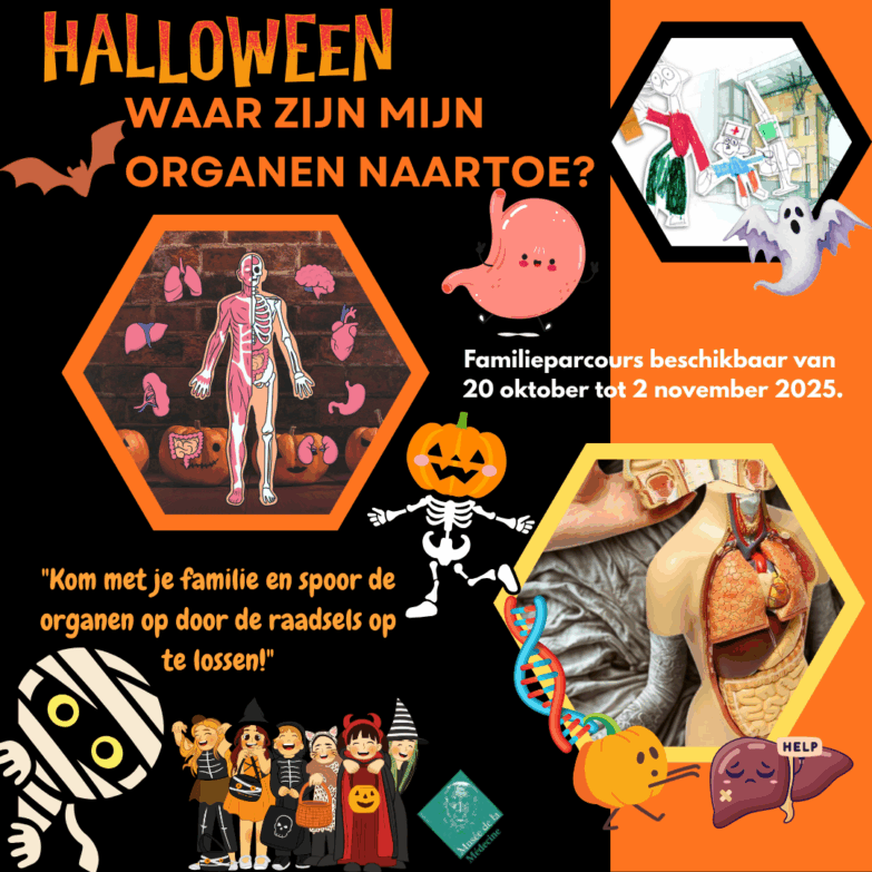 où sont passé mes organes ndls