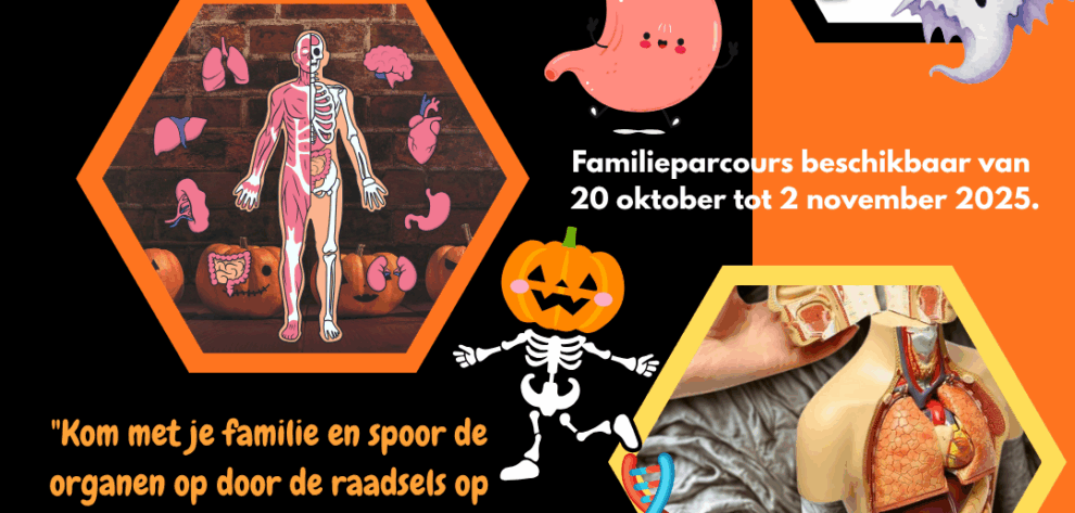 où sont passé mes organes ndls